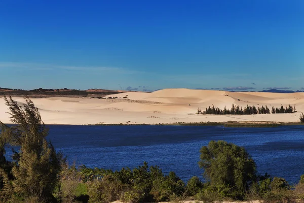 Dunas de areia branca com as árvores do lago em Mui Ne — Fotografia de Stock