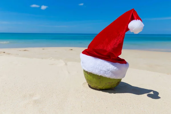 Kokos i Santa Jul hatt sand tropical beach — Stockfoto