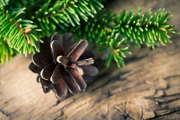 Boże Narodzenie szyszka jodły na podłoże drewniane — Zdjęcie stockowe