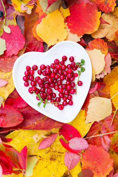 Cranberries in heart plate at colorful fall leaves — Stock Photo, Image