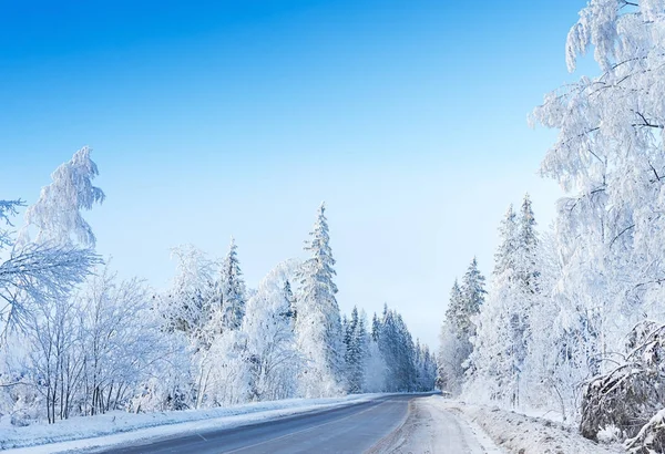 Ruso invierno bosque carretera en la nieve y el hielo — Foto de Stock