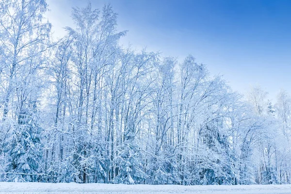 Russian winter forest road in snow and ice — Stock Photo, Image