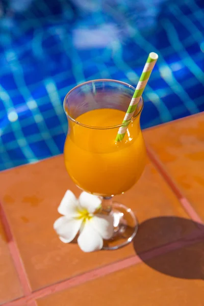 Copo de bebida de suco de laranja fresca com flor na borda de — Fotografia de Stock