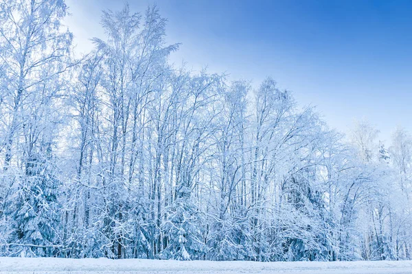 Ruso invierno bosque carretera en la nieve y el hielo — Foto de Stock