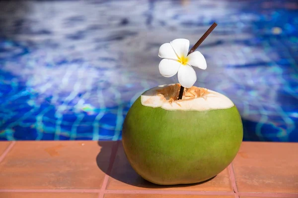 Sumo de coco fresco com palha e plumeria, flor de frangipani o — Fotografia de Stock