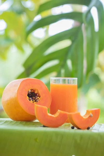 Tropische exotische Papayafrüchte und Glas mit Smoothie Shake j — Stockfoto