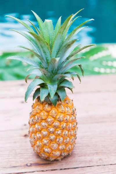 Taze sarı ananas tropik meyve — Stok fotoğraf