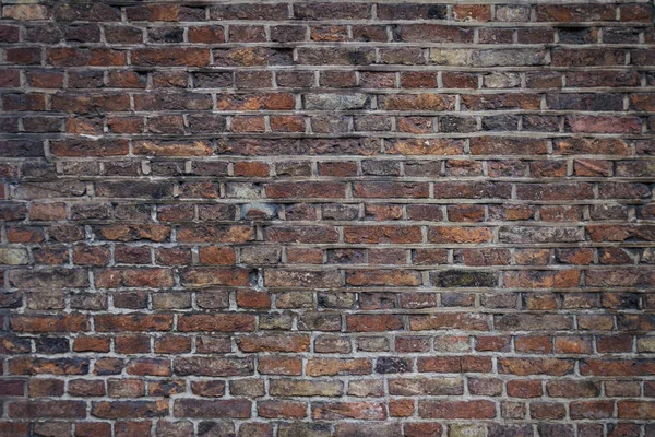 Perfect for design brick wall background — Stock Photo, Image