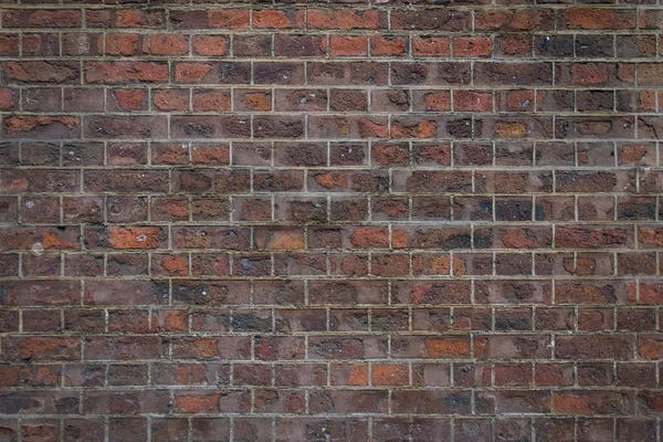 Perfect for design brick wall background — Stock Photo, Image