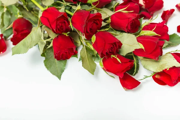 Perfect Valentines red roses — Stock Photo, Image