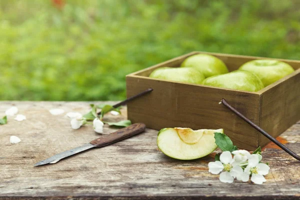 Färska söta saftiga våren gröna äpplen med blommor — Stockfoto