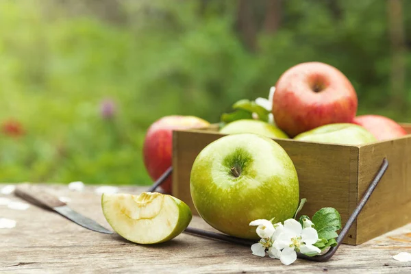 Jugosa primavera verde manzanas rojas con flores — Foto de Stock