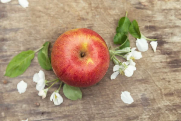 新鲜的甜汁春天红色苹果与花 — 图库照片