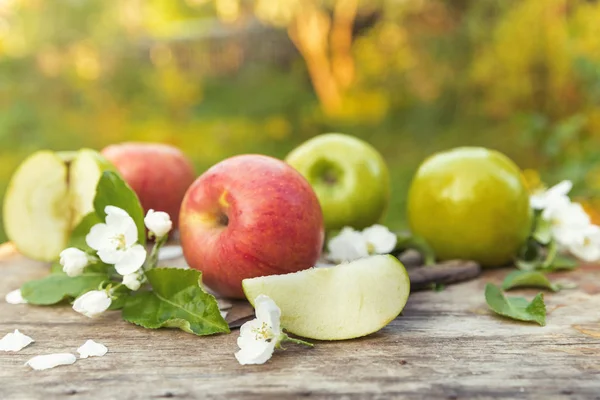 Saftiga vårgrön röda äpplen med blommor — Stockfoto