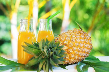 Ananas tropik meyve yaz ferahlık yüzlü