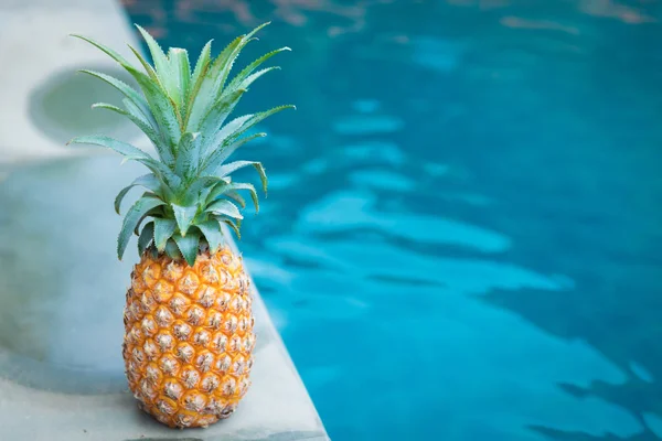 Piña fruta tropical piscina de refresco de verano — Foto de Stock