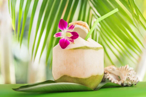 Tropical exótico fresco água de coco verde beber perto de palma com o — Fotografia de Stock