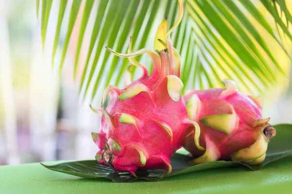Świeży, smaczny tropic, owoc smoka pitahya egzotycznych dragon w pobliżu pal — Zdjęcie stockowe