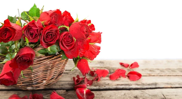 Perfect red Valentines roses — Stock Photo, Image
