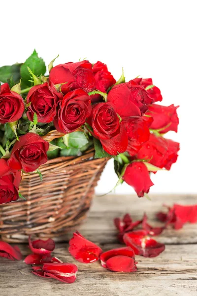 Perfekte røde Valentinroser – stockfoto