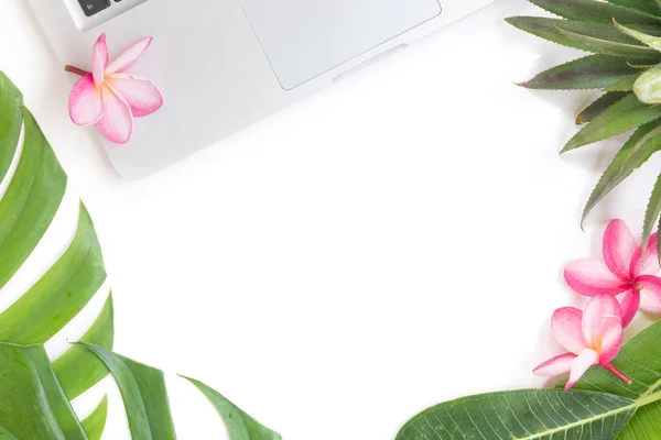 Tropische top botanische begrip stilleven laptop — Stockfoto