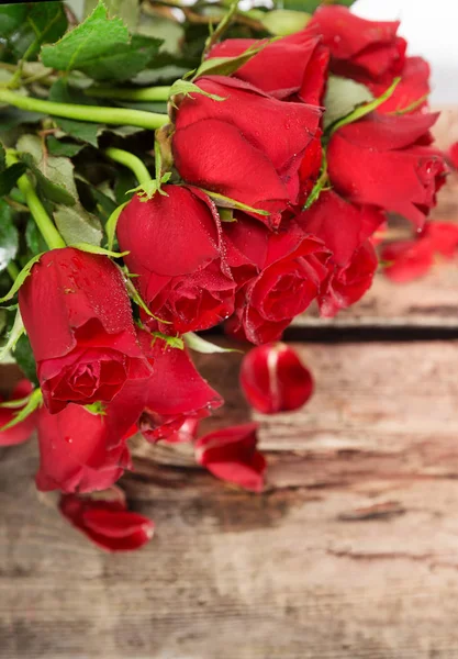 Perfect Valentines roses — Stock Photo, Image