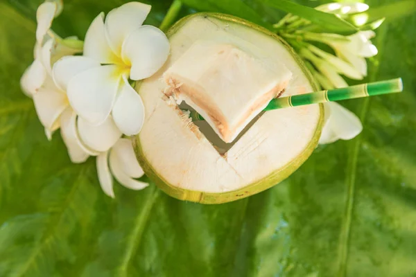 Bebida tropical de coco exótico e flores — Fotografia de Stock