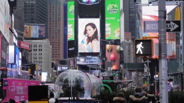 January 2020 스퀘어의 보행자 신호등 앞으로 수있게 모양의 신호등 보도를 — 비디오