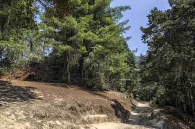 Kaplan Yuvası Taktshang Manastırı 'na giden dağ yolu, Bhutan - Kaplanlar Yuvası Manastırı Taktsang Palphug Manastırı olarak da bilinir. Butan 'daki Paro Vadisi' nin yukarısındaki kayalıklarda..