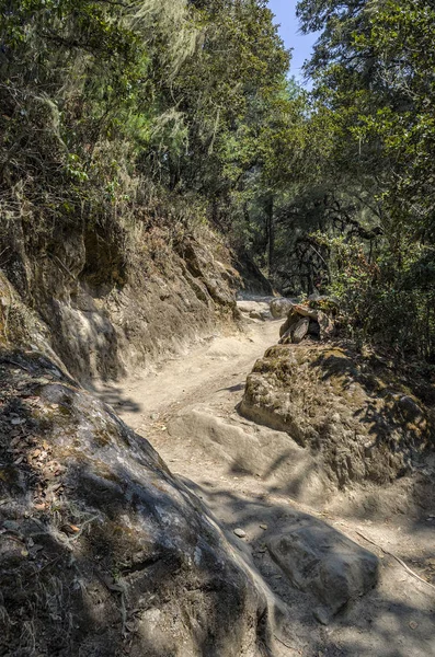 前往不丹的虎巢塔曾寺朝圣的山路 虎巢寺 Tiger Nest Monastery 也被称为塔曾山帕尔丰修道院 Taktsang Palphug Monastery 位于不丹帕罗河谷上游的悬崖边 — 图库照片