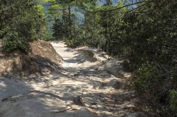 前往不丹的虎巢塔曾寺朝圣的山路 虎巢寺 Tiger Nest Monastery 也被称为塔曾山帕尔丰修道院 Taktsang Palphug Monastery 位于不丹帕罗河谷上游的悬崖边 — 图库照片