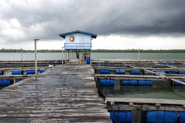 马来西亚Pulau Ketam周围热带地区的近海露天鱼养殖场 — 图库照片