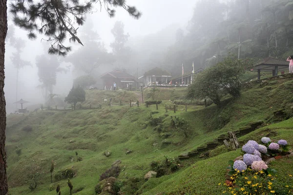 Bukit Larut Una Las Atracciones Turísticas Taiping Puede Llegar 4X4 —  Fotos de Stock