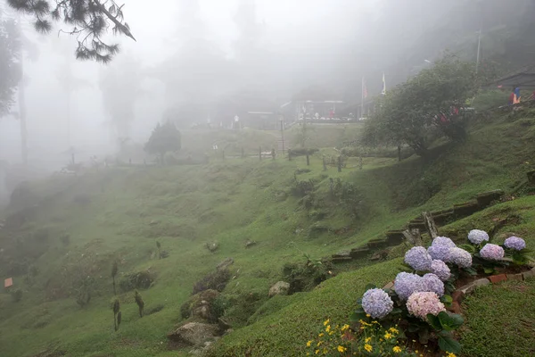 Bukit Larut Una Delle Attrazioni Turistiche Taiping Può Essere Raggiunto — Foto Stock