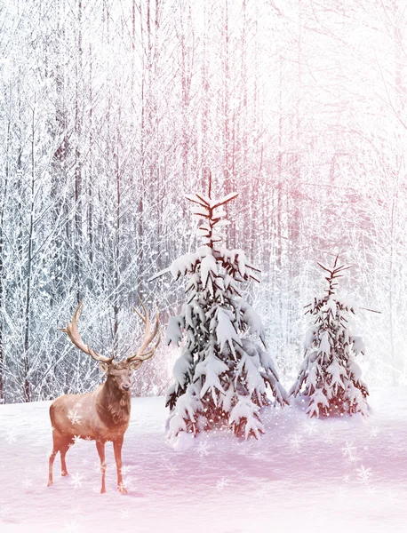 눈의 배경입니다. 겨울 풍경입니다. 사진. — 스톡 사진