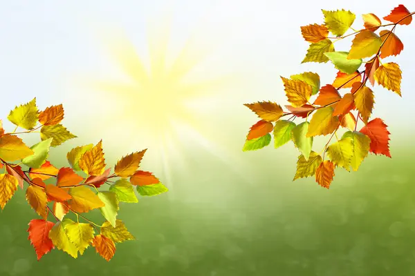Paisaje de otoño con follaje de colores brillantes. Verano indio . — Foto de Stock