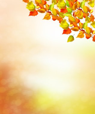 sonbahar manzara parlak renkli yeşillik ile. Pastırma yazı.