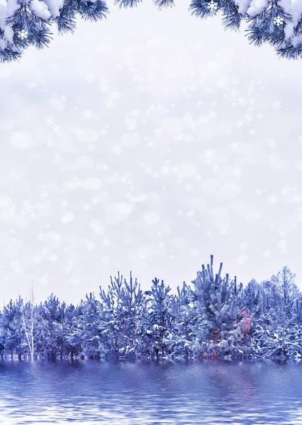 Forest in the frost. Winter landscape. Snow covered trees. — Stock Photo, Image