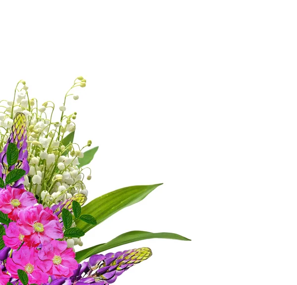 Гілка лілій квітів долини ізольована на білому фоні — стокове фото