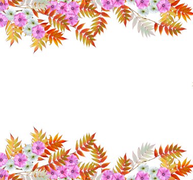 Beyaz arka plan üzerinde izole lavatera. parlak çiçek