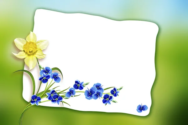 Urlaubsfrühlingskarte. Floraler Hintergrund. leuchtend bunte Blumen. — Stockfoto