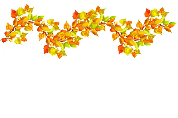 Folhagem de outono colorida isolada sobre fundo branco. Montante indiano — Fotografia de Stock