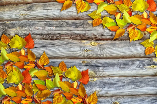 Podzimní krajina s jasně barevnými listy. Babí léto. — Stock fotografie
