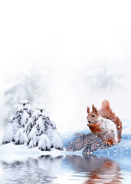 겨울 풍경입니다. 눈 덮힌 나무 — 스톡 사진