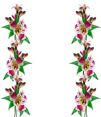 çiçekler karanfil buketi.