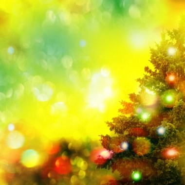  Donmuş orman. Kış manzarası. Karla kaplı ağaçlar. 