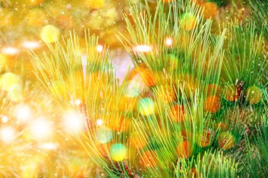  Donmuş orman. Kış manzarası. Karla kaplı ağaçlar. 