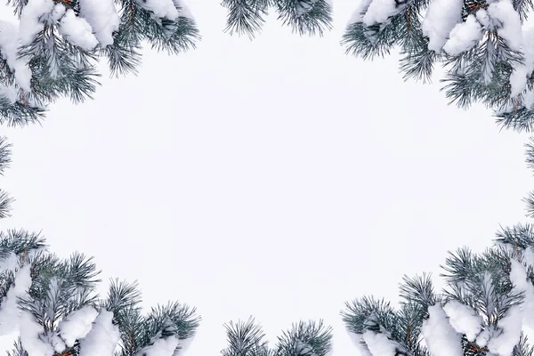 Skog i frosten. Vinterlandskap. Snötäckta träd. — Stockfoto