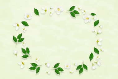 Dal parlak beyaz Yasemin çiçekleri. Bahar kompozisyon.