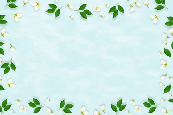 Dal parlak beyaz Yasemin çiçekleri. Bahar kompozisyon. — Stok fotoğraf